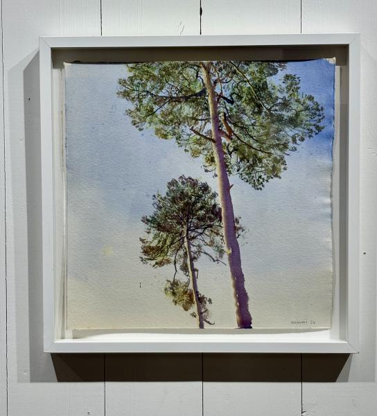 R&eacute;mi Hamoir - 2 arbres soleil du soir 52/52cm encadr&eacute;