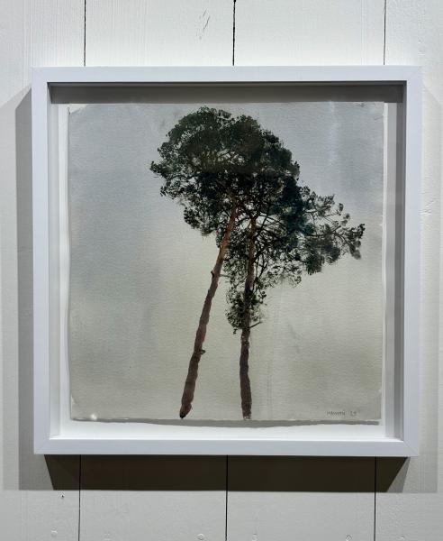 R&eacute;mi Hamoir - Arbre Carr&eacute; 42/42cm encadr&eacute;