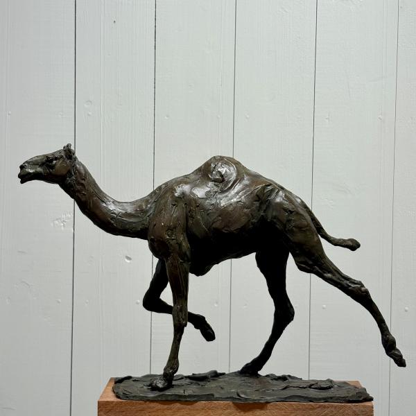 Roch Vandromme - Fin de course Bronze