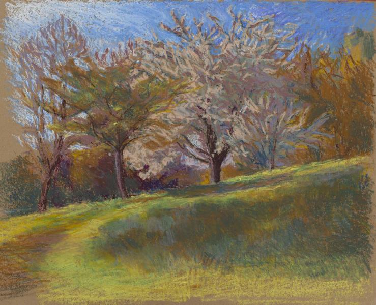 Assunta Genovesio - Cerisier au printemps Pastel à l'huile 47/35