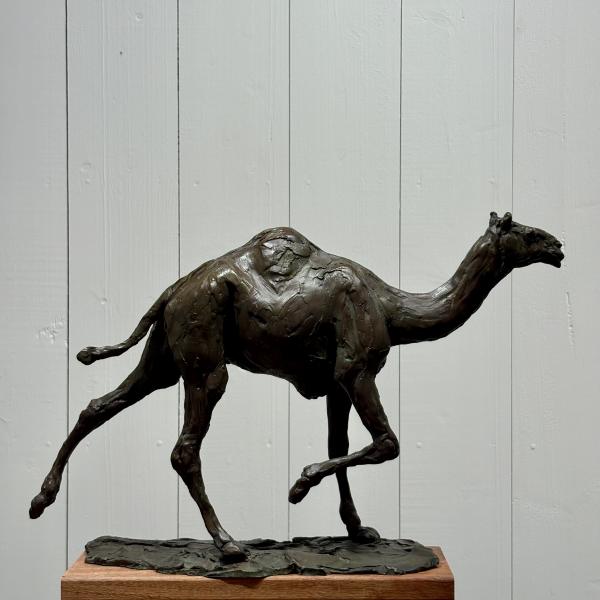 Roch Vandromme - Fin de course (Dromadaire) Bronze