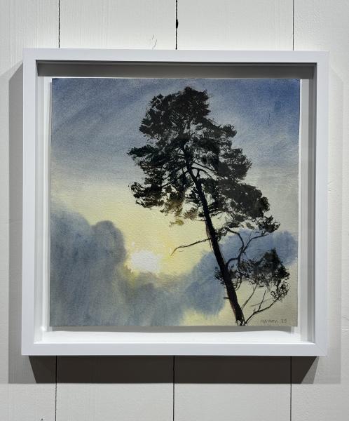 R&eacute;mi Hamoir - Arbre Carr&eacute; 42/42cm encadr&eacute;