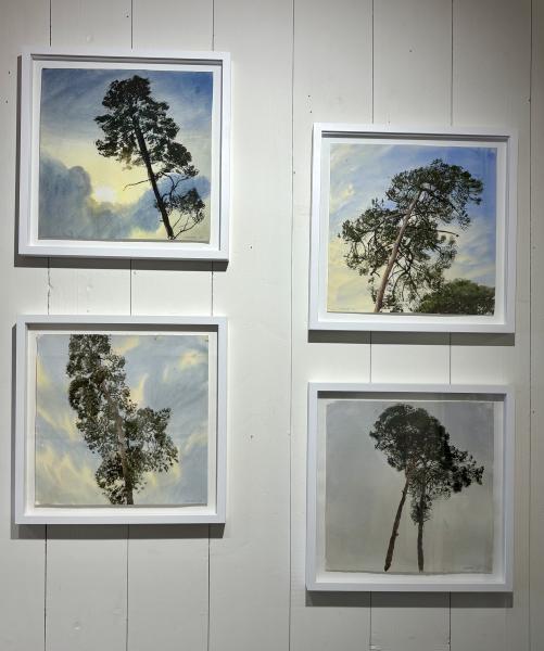 R&eacute;mi Hamoir - 4 carr&eacute;s Hamoir