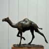 Roch Vandromme - Fin de course Bronze