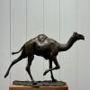 Roch Vandromme - Fin de course (Dromadaire) Bronze